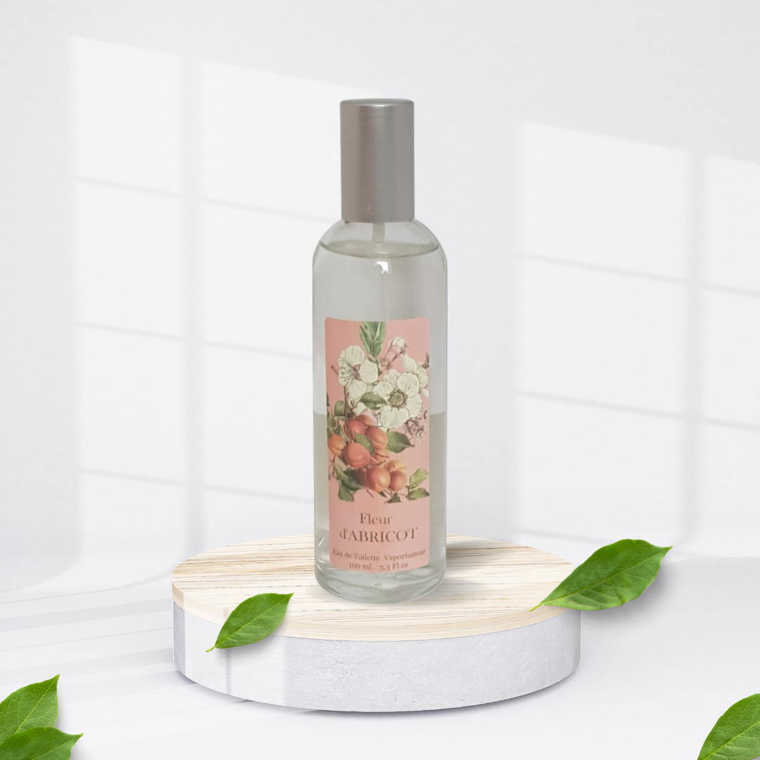 Provence et Nature Abricot Fleur, 1er Pack (1 x 100 ml)