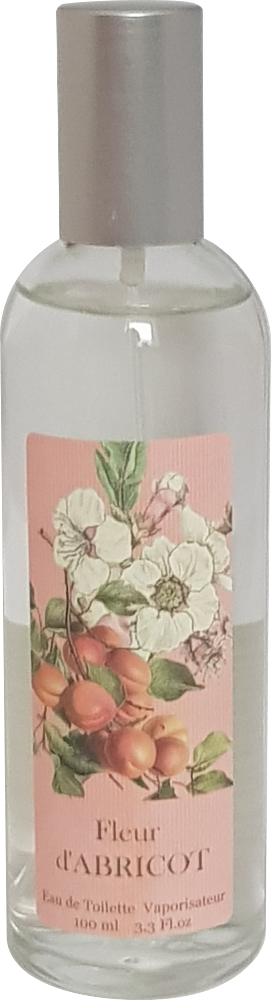 Provence et Nature Abricot Fleur, 1er Pack (1 x 100 ml)